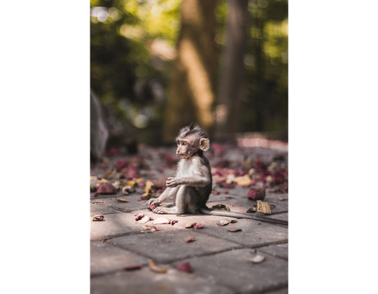 Z Q Photography